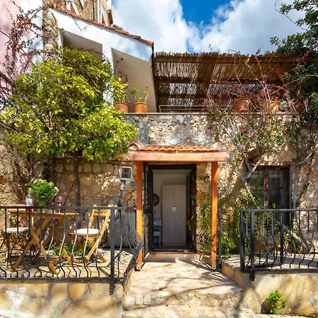 Gizli * Kalkan